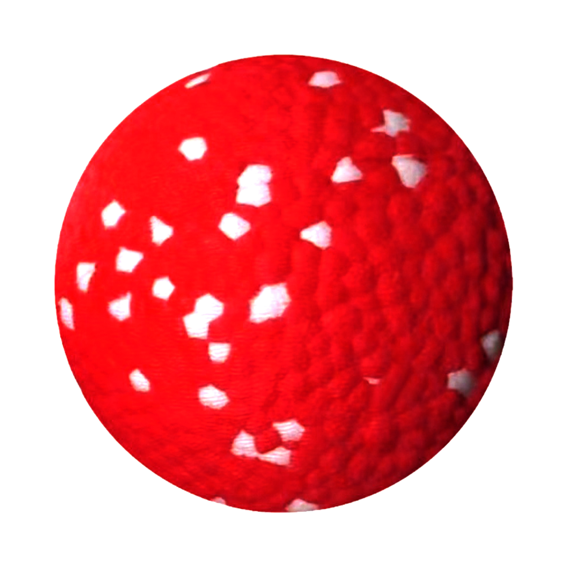 FlyFlyPromos - Elastic Pet Ball Image 10 - Promotional Product