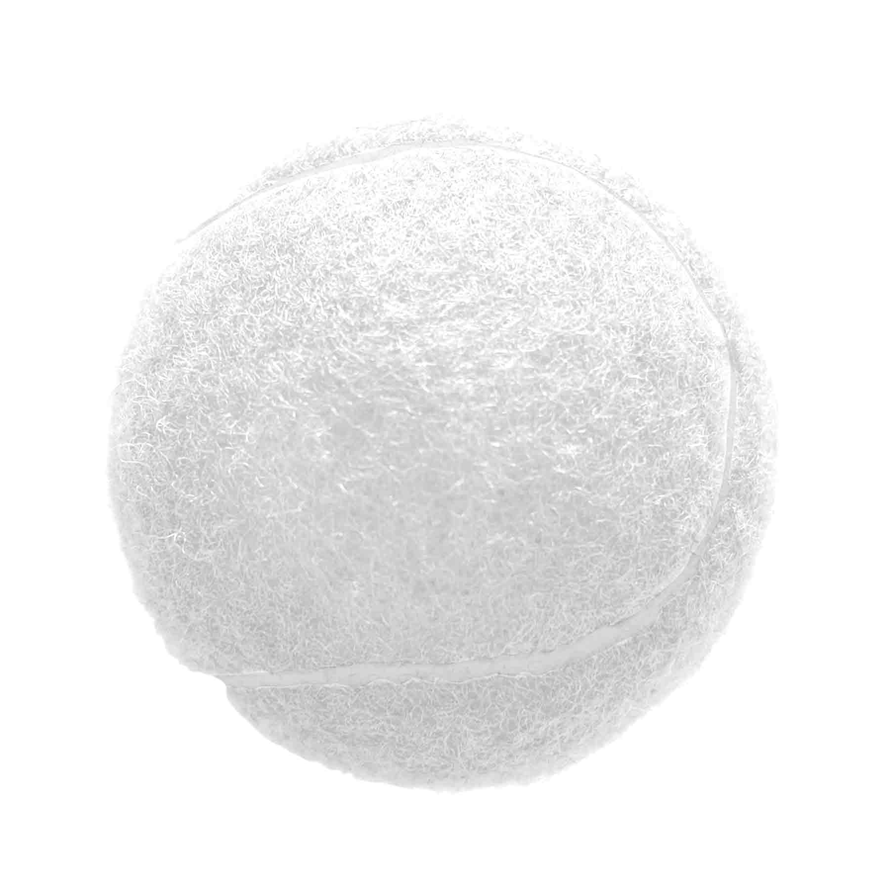 FlyFlyPromos - Bite Resistant Rubber Tennis Ball Image 8 - Promotional Product